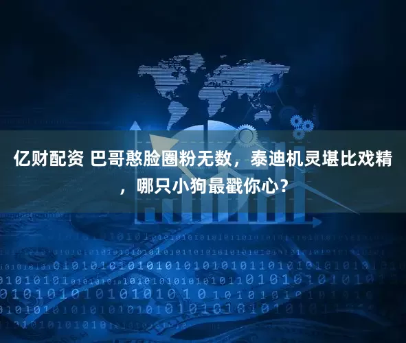 亿财配资 巴哥憨脸圈粉无数，泰迪机灵堪比戏精，哪只小狗最戳你心？