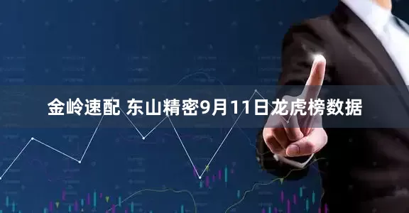 金岭速配 东山精密9月11日龙虎榜数据