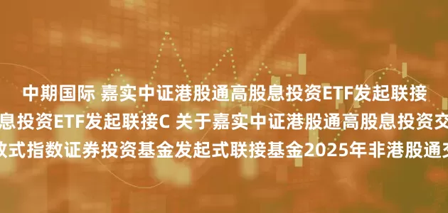 中期国际 嘉实中证港股通高股息投资ETF发起联接A,嘉实中证港股通高股息投资ETF发起联接C 关于嘉实中证港股通高股息投资交易型开放式指数证券投资基金发起式联接基金2025年非港股通交易日暂停申购、赎回等业务安排的公告