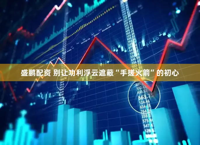 盛鹏配资 别让功利浮云遮蔽“手搓火箭”的初心
